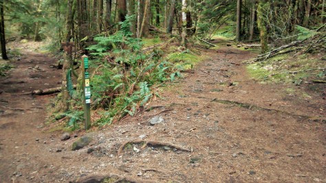 trailhead of Value Added, with Entrails to the left